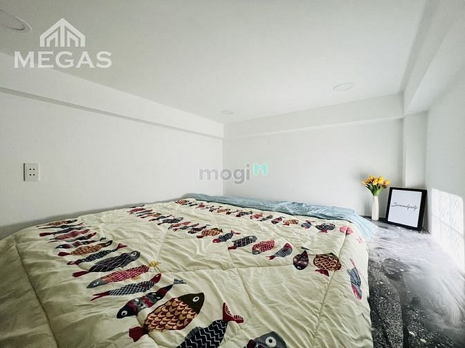 Hình ảnh CHDV giá sinh viên ngay cầu Kinh