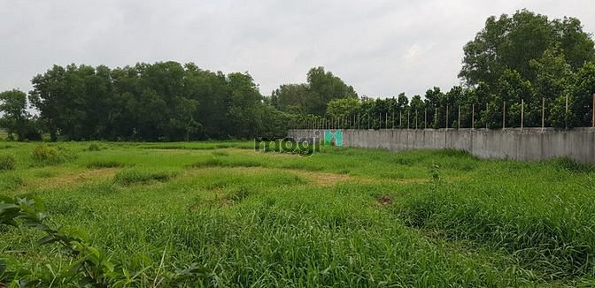 Hình ảnh Đất MT Hồ Văn Tắng, Củ Chi, 26.5m x 83m, chỉ 7tr/m2