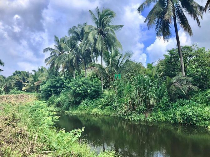 Hình ảnh Đất sào Gia Canh, sổ riêng, chính chủ