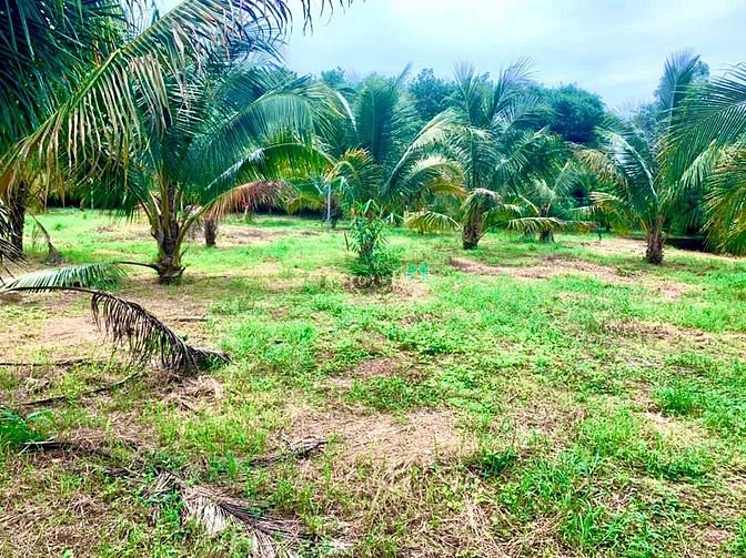 Hình ảnh Đất sào Gia Canh, sổ riêng, chính chủ