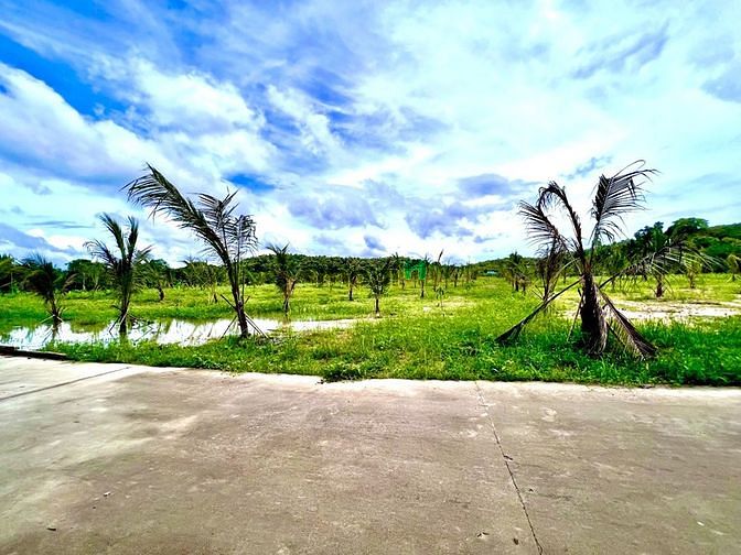 Hình ảnh Đất sào Gia Canh, sổ riêng, chính chủ
