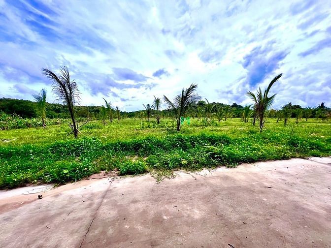 Hình ảnh Đất sào Gia Canh, sổ riêng, chính chủ