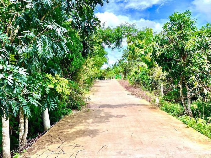 Hình ảnh Đất sào Gia Canh trồng dừa, sổ riêng, chính chủ