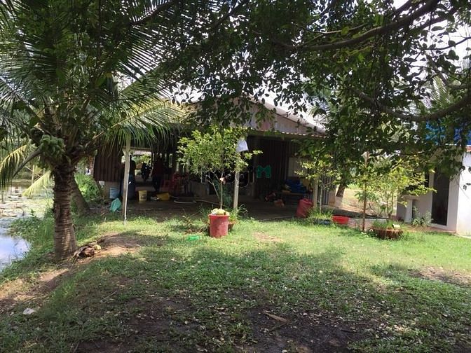 Hình ảnh 17000m2 Có chứng chỉ Vườn Cây Ao Cá,Thêm Túp Lều Lý Tưởng