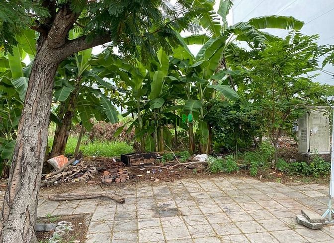 Hình ảnh Đất 6.5x20m, SHR khu dân cư Lập Phúc, đường Đào Sư Tích, Nhà Bè