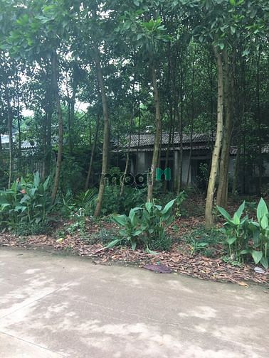 Hình ảnh Bán đất rộng thổ cư xã Phúc Trìu