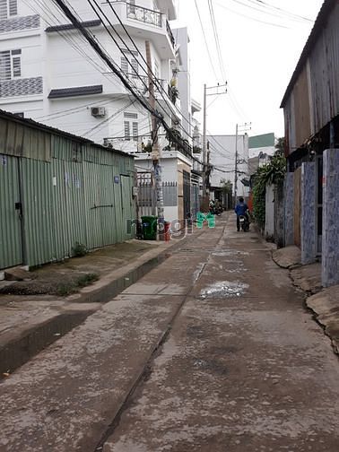 Hình ảnh Chính chủ bán đất hẻm Bình Thành, Phường Bình Hưng Hoà B,Bình Tân