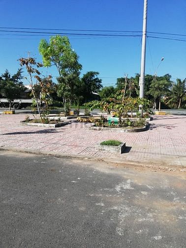 Hình ảnh Bán gấp miếng đất vườn, chỉ 2.5 tỷ/1683m2 đường D1-Long phước.q9