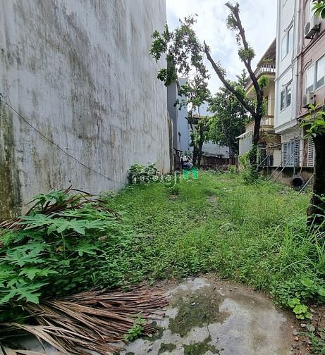Hình ảnh Bán Đất siêu hiếm ở Phạm Thân duật Phân lô, 48m2, oto đỗ cửa, sổ vuông