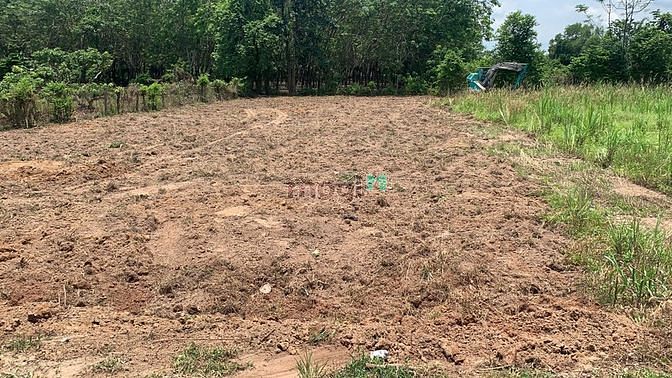 Hình ảnh Sang gấp 2250m2(45x50) ngay KCN Phước Đông.Vị trí đẹp.SHR