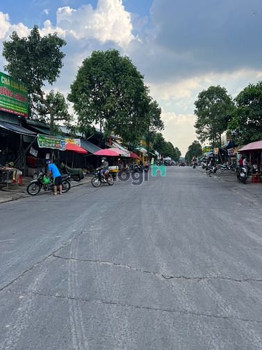 Hình ảnh Sang gấp 2250m2(45x50) ngay KCN Phước Đông.Vị trí đẹp.SHR