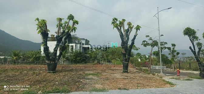 Hình ảnh Đất biệt thự đảo hoa sen nha trang