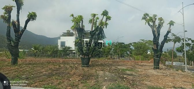 Hình ảnh Đất biệt thự đảo hoa sen nha trang