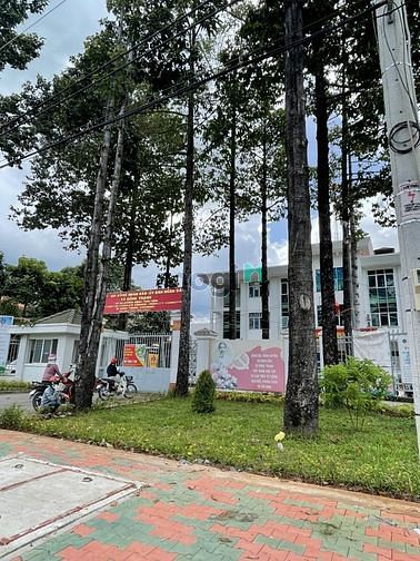 Hình ảnh Đất Thới Tam Thôn 133m2 7x19 . Lô Góc Xây Dựng 4 Tầng