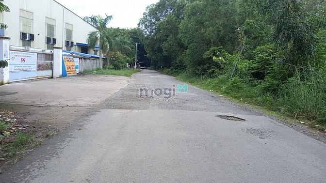 Hình ảnh Bán đất 2MT, Phú An, Bến Cát, DT:102x76, TC600m2,  SHR, giá 36,5 tỷ
