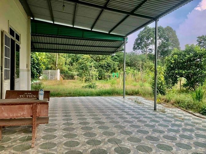 Hình ảnh Đất Nhuận Đức . Huyện Củ Chi TP HCM DT : 20 x 38 = 766m (300M Thổ Cư)