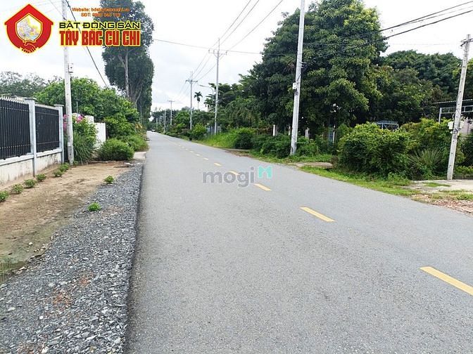 Hình ảnh Bán đất đường Bùi Thị Điệt - 574m2 - 11x53 nở hậy 16 - 209m2 thổ cư