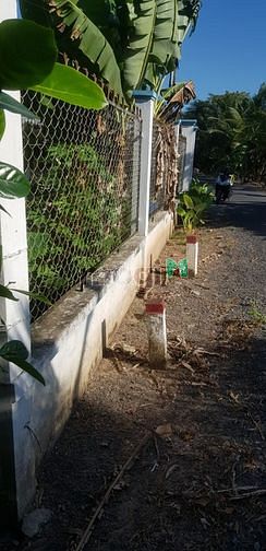 Hình ảnh đất cây lâu năm mặt tiền phường tân ngãi tp vĩnh long