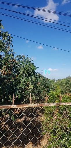 Hình ảnh đất cây lâu năm mặt tiền phường tân ngãi tp vĩnh long