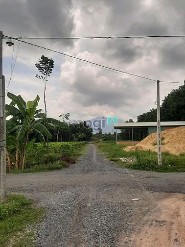 Hình ảnh Đất Tân Hòa, Tân Bình, TP Tây Ninh. Giá chỉ từ 6xx tr