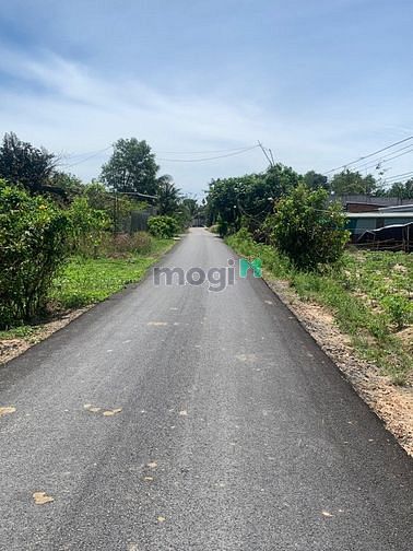 Hình ảnh Đất Tân Hòa, Tân Bình, TP Tây Ninh. Giá chỉ từ 6xx tr