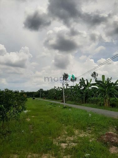Hình ảnh Đất Tân Hòa, Tân Bình, TP Tây Ninh. Giá chỉ từ 6xx tr
