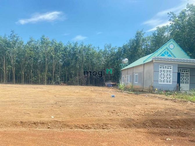 Hình ảnh Bán đất thổ cư ngay KDL Hồ Đồng Xoài 550Tr/Nền