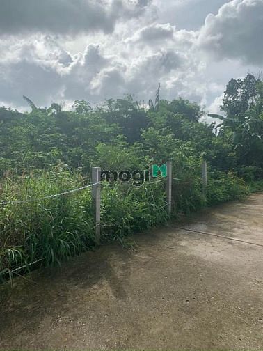 Hình ảnh bán lô đất đường bê tông hòa long