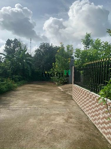Hình ảnh bán lô đất đường bê tông hòa long