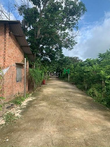 Hình ảnh bán lô đất đường bê tông hòa long
