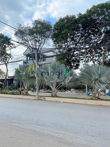Hình ảnh Đất MT - Sát VINHOMES - Phước Thiện - Long Thạnh Mỹ - Q9 - giá 37tr/m2
