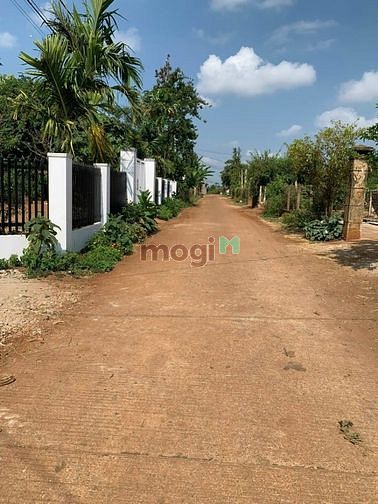 Hình ảnh Bán lô đất Cư Suê đối diện Him Lan, giá Trang MB66.COM Chính Thức - MB 66 Uy Tín:
