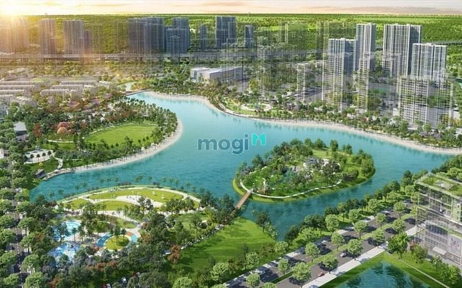 Hình ảnh Đất DT lớn, đảo Long Phước, Wieu Sông cực hiếm. DT 8888m2 giá rẻ