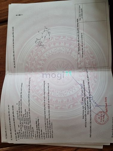 Hình ảnh Hàng hiếm phú an, bến cát, bình dương