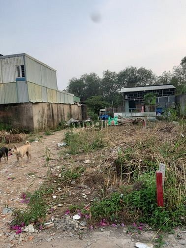 Hình ảnh Bán 50m2 đất 2.65 tỷ Bưng Ông Thoàn sát vòng xoay Phú Hữu