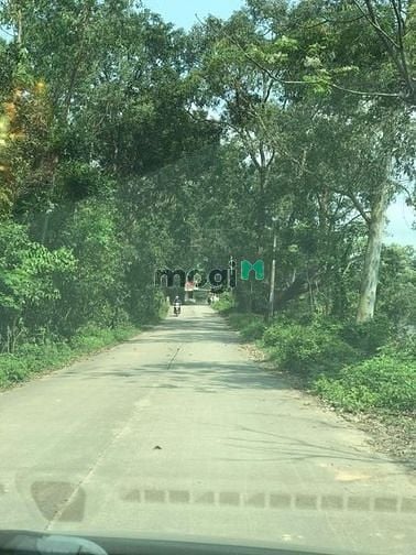Hình ảnh [CAM THỦY,  CAM LỘ] - -  Sát ubnd xã Cam Thủy