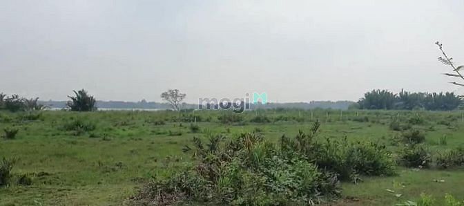 Hình ảnh Đất nền Bưng Ông Thoàn, Phú Hữu, Q9, khu phân lô giá chỉ 11tr/ m2
