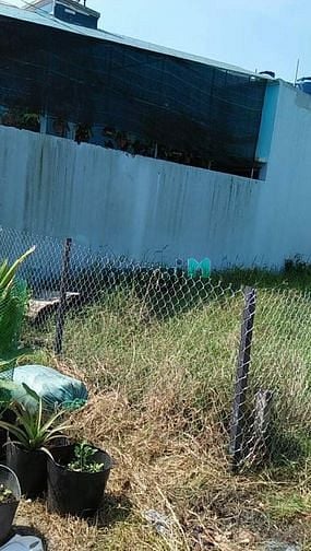 Hình ảnh Bán đất full thổ cư giá gần 2 tỷ 85m2 Huyện Bình Chánh sổ hồng đầy đủ