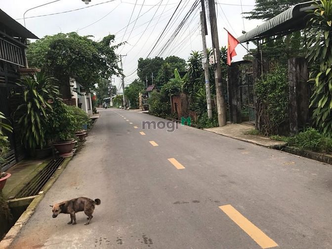 Hình ảnh bán đất mt nhựa ,thổ cư ,khu đông dan cư ,sổ hồng riêng