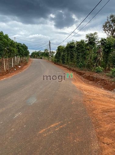 Hình ảnh Bán 1,2 ha đất sào Komleo, 2 mặt tiền đường.