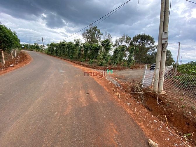 Hình ảnh Bán 1,2 ha đất sào Komleo, 2 mặt tiền đường.