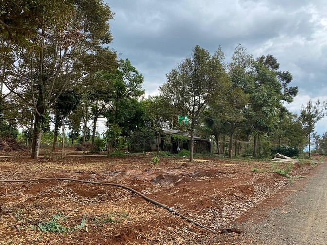 Hình ảnh Bán 1,2 ha đất sào Komleo, 2 mặt tiền đường.