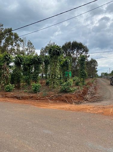 Hình ảnh Bán 1,2 ha đất sào Komleo, 2 mặt tiền đường.