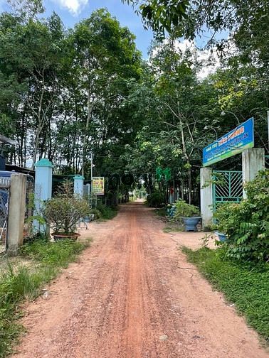 Hình ảnh Bán đất Long Hòa, Dầu Tiếng, DT:5x23, SHR, giá chỉ 670 triệu