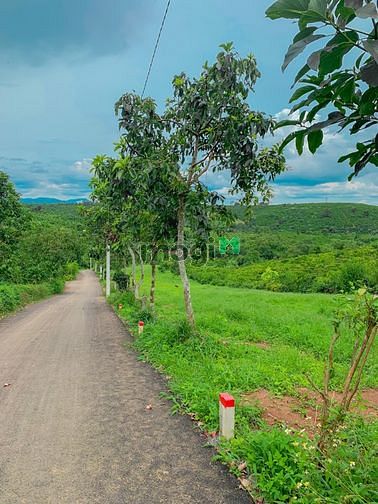 Hình ảnh Đất Nền đường liên xã thôn 11 Lộc An Bảo Lâm 880tr