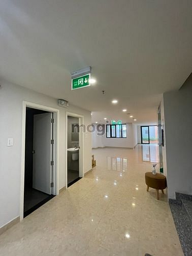 Hình ảnh Cho thuê nhà 8x20m hầm 6 lầu thang máy, Bạch Đằng Tân Bình