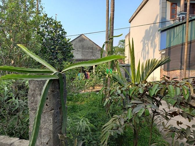 Hình ảnh Bán đất đô thị Hòa Lạc mặt đường 446 tại Yên Bình.Có thể kinh doanh