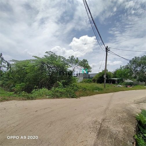 Hình ảnh Đất Đẹp Hai Mặt Tiền 1.000m2 Full Thổ Tân Hiệp Hóc Môn