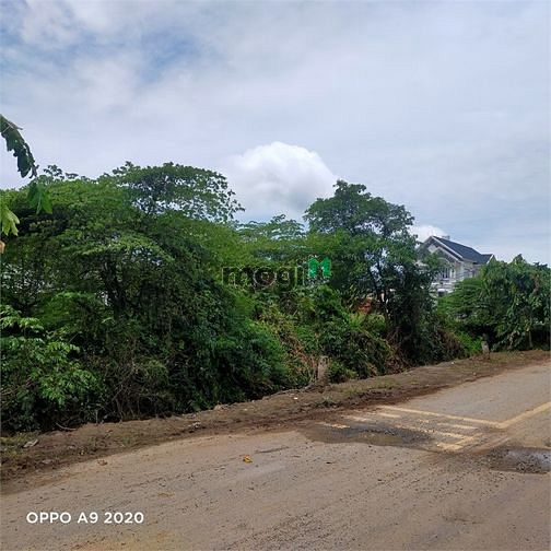 Hình ảnh Đất Đẹp Hai Mặt Tiền 1.000m2 Full Thổ Tân Hiệp Hóc Môn