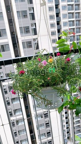 Hình ảnh Cho thuê căn 2N2WC - vinhomes ocean park